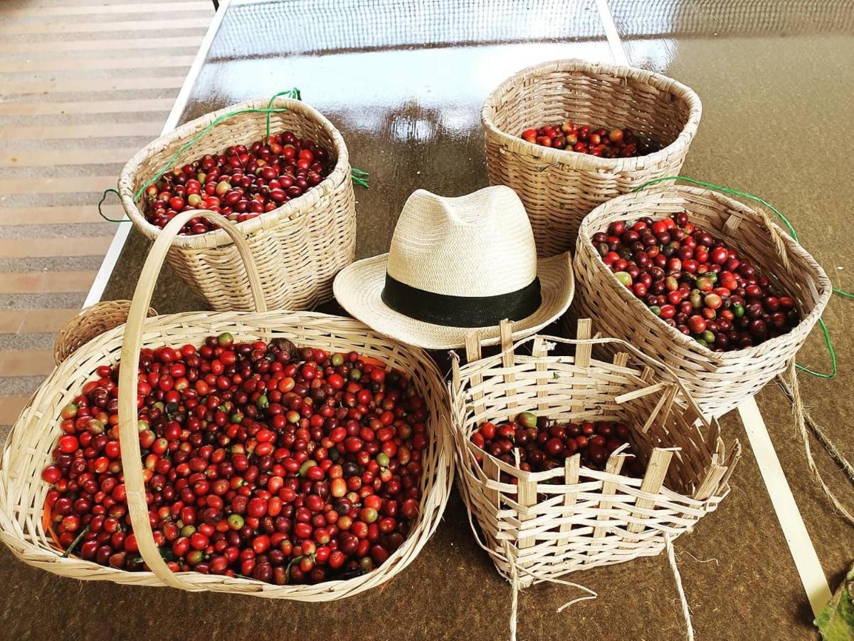 Finca Hotel La Quinta Porra アルメニア エクステリア 写真