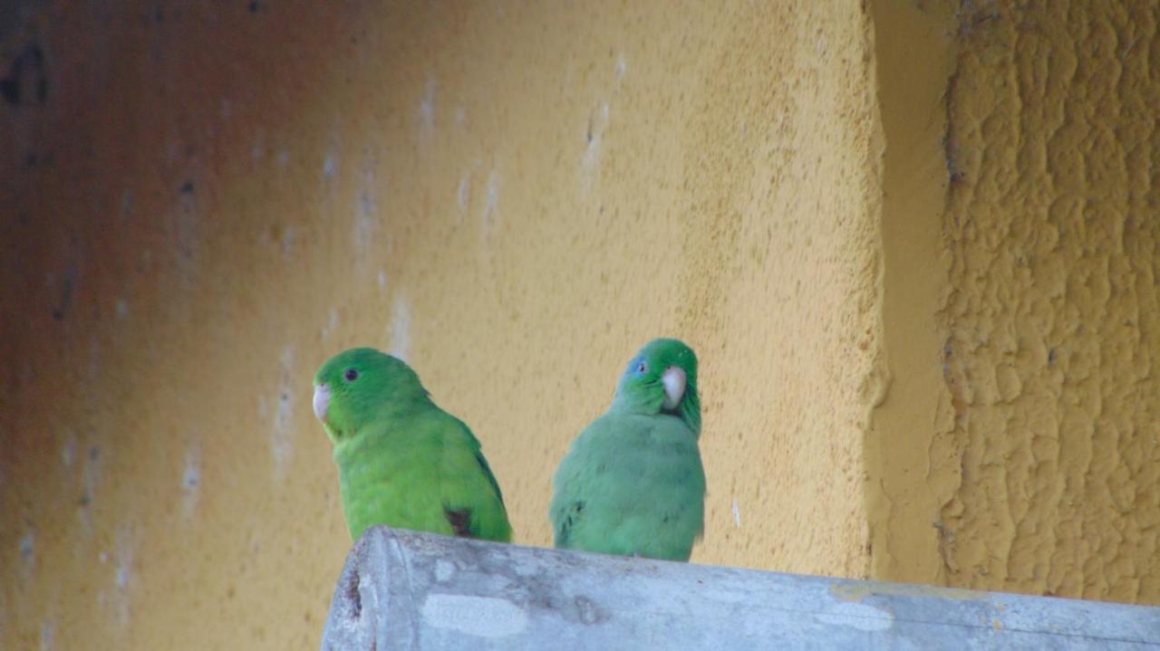 Finca Hotel La Quinta Porra アルメニア エクステリア 写真