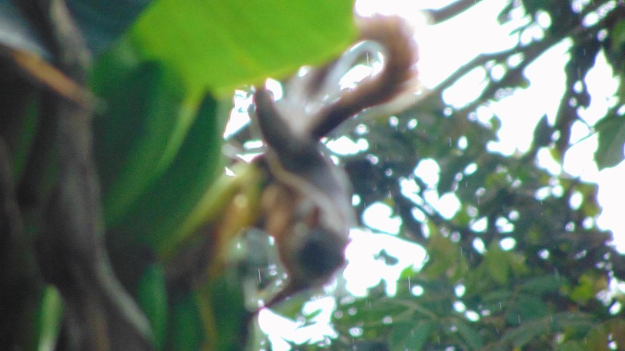 Finca Hotel La Quinta Porra アルメニア エクステリア 写真