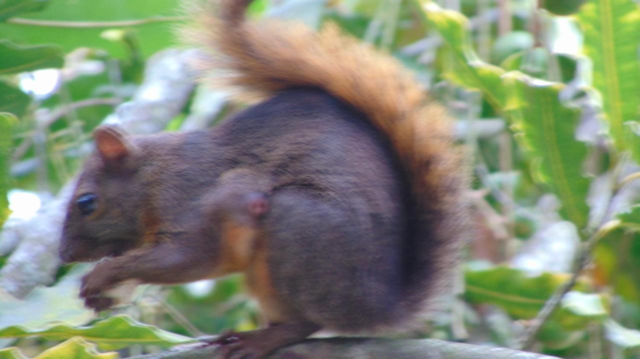 Finca Hotel La Quinta Porra アルメニア エクステリア 写真