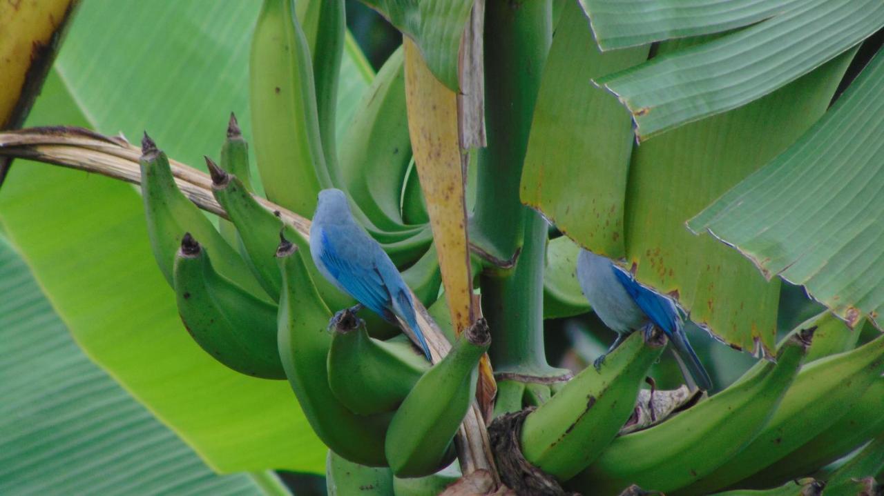 Finca Hotel La Quinta Porra アルメニア エクステリア 写真