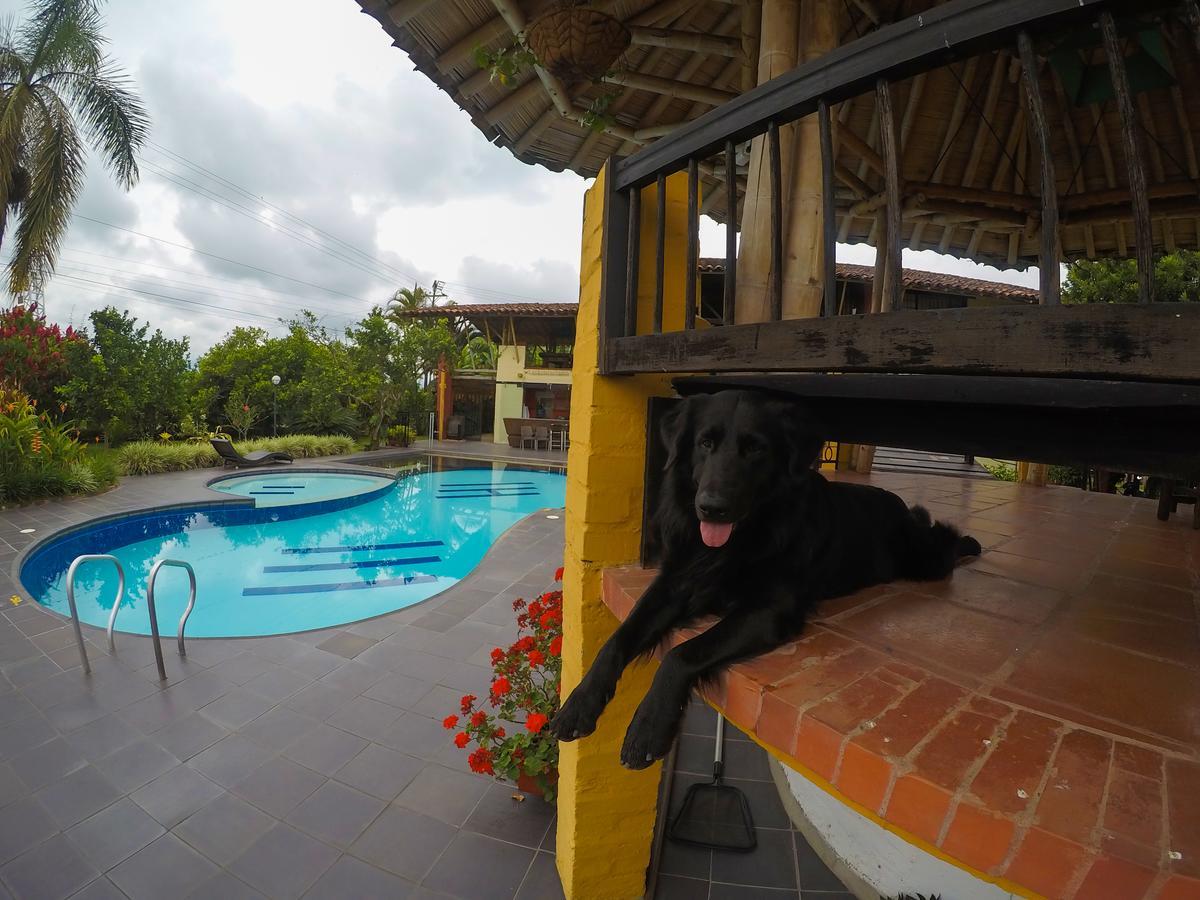 Finca Hotel La Quinta Porra アルメニア エクステリア 写真